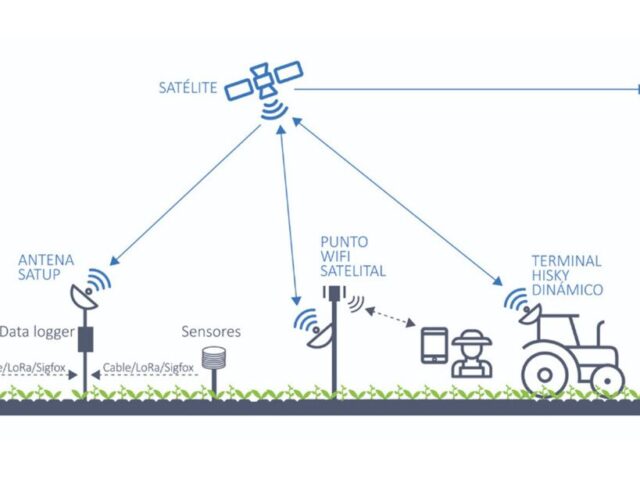 El satélite impulsa una gestión inteligente de las explotaciones agrarias y ganaderas