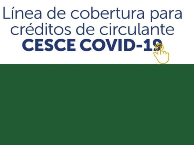 La línea CESCE-COVID19 moviliza créditos bancarios por valor de 339 millones