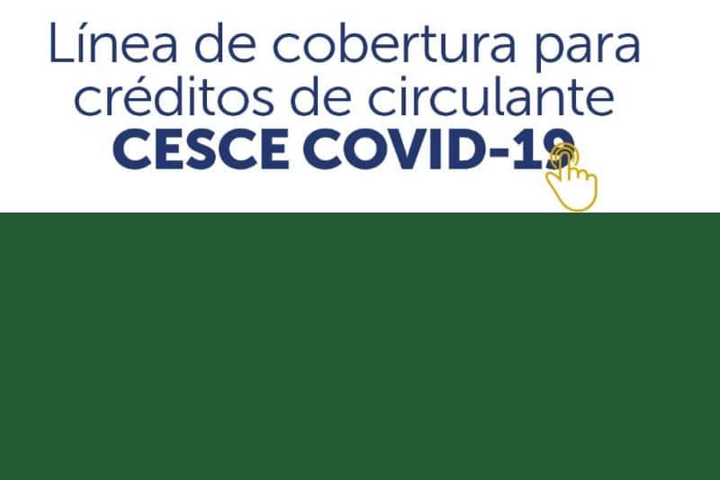 La línea CESCE-COVID19 moviliza créditos bancarios por valor de 339 millones