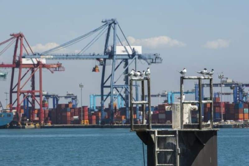 exportaciones-en-el-sector-de alimentacion
