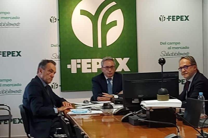 fepex-no-puede-asumir-un-brexit-sin-acuerdo