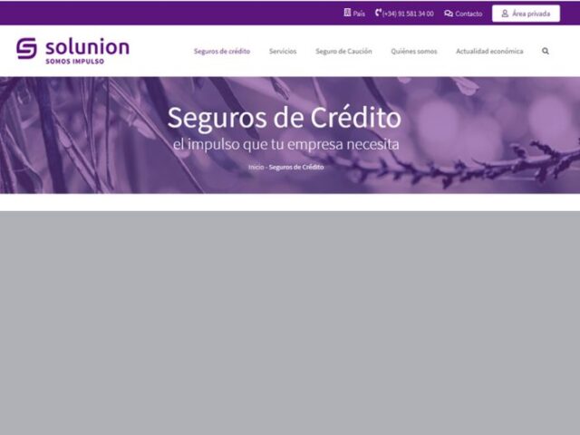 Solunion personaliza las operaciones de riesgo comercial