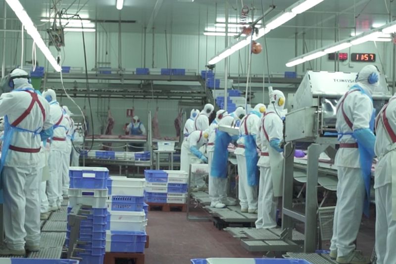 exportaciones-del-sector-porcino-record-historico