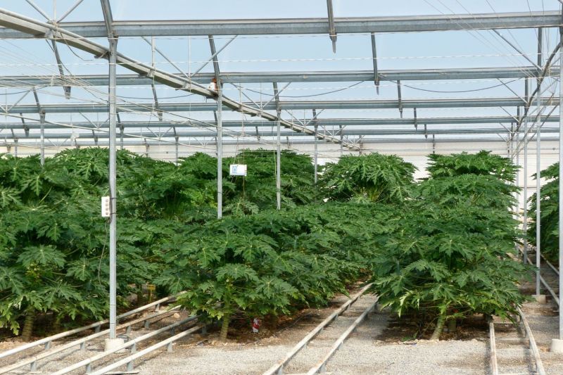 exportaciones-agroalimentarias