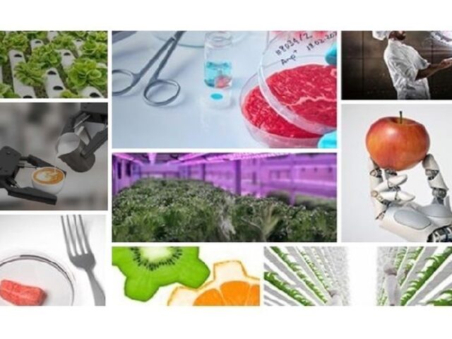 ICEX impulsa la internacionalización del sector FoodTech español