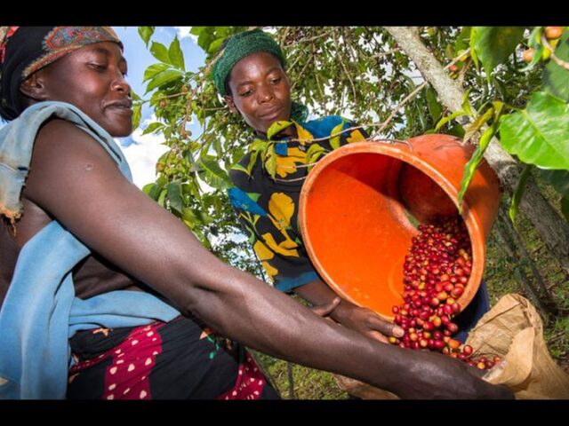 fondo-huruma-africa