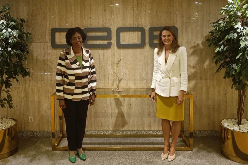 cooperacion-empresarial-espana-sudafrica