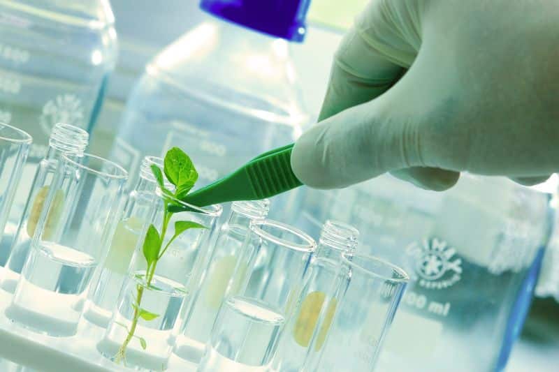 nigeria-se-interesa-por-la-innovacion-agraria