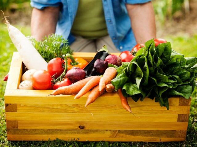 La exportación hortofrutícola española creció un 16% en agosto