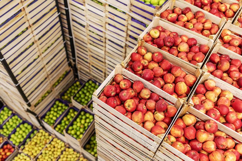 exportaciones-agroalimentarias-caixabank