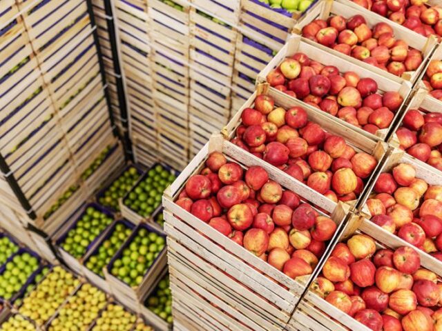 España y Reino Unido fortalecen la cooperación bilateral en seguridad alimentaria