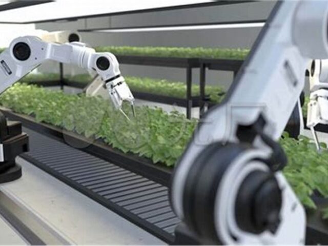 España en una nación líder en agrifoodtech