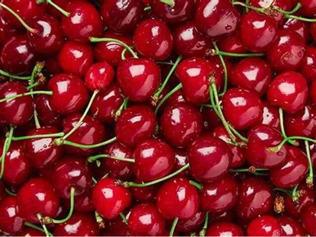 La exportación de la cereza española mira hacia China