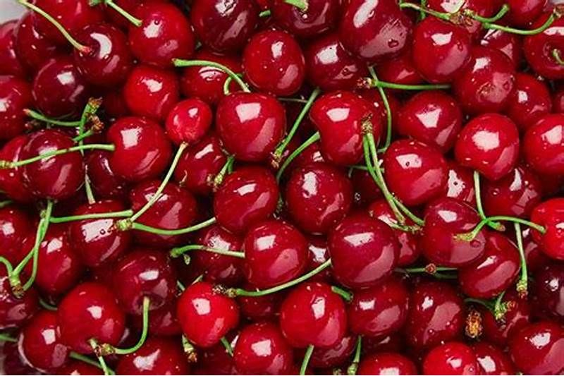 cereza-espanola-mira-hacia-china