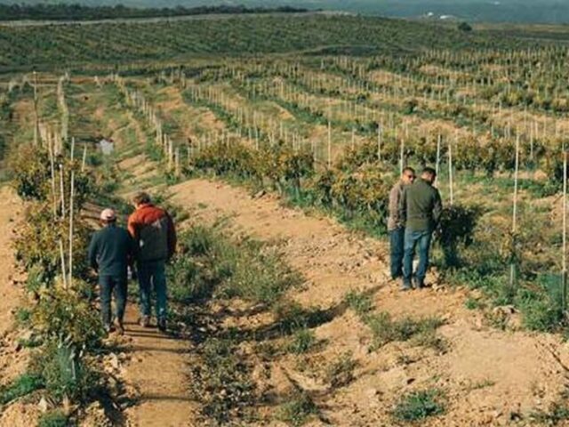 Green Universe continúa con su internacionalización en México