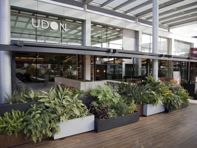 UDON Asian Food se fortalece como marca global de restauración asiática