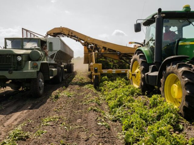 El sector agroalimentario español se adapta al nuevo entorno global