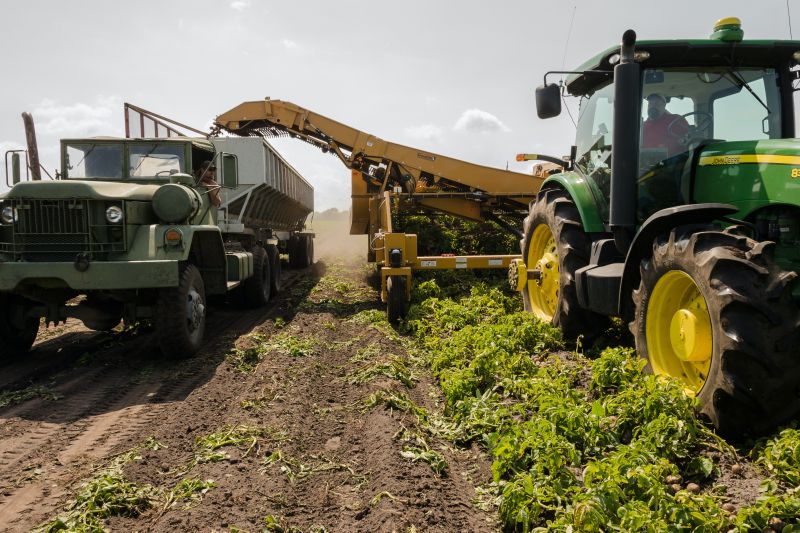 el-sector-agroalimentario-espanol-se-adapta-al-nuevo-entorno-global