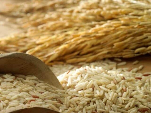 La UE propone salvaguardas para el agro en el pacto con Mercosur