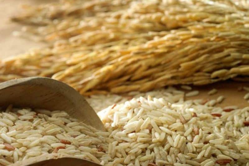 salvaguardas-para-el-agro-en-el pacto-con-mercosur