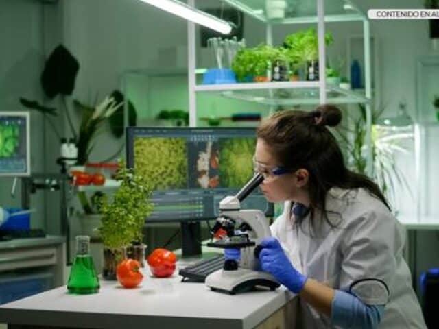 España y Turquía estrechan lazos en I+D agroalimentario