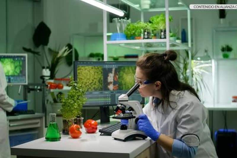 espana-y-turquia-colaboran-en-i-+-d+i-agroalimentario